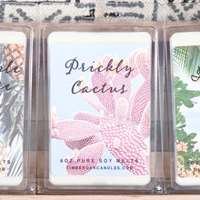 Load image into Gallery viewer, Prickly Cactus