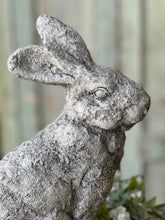 Load image into Gallery viewer, Peter Rabbit