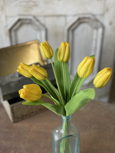 Yellow Tulip Time