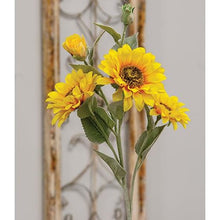 Load image into Gallery viewer, Sunflower Blooms