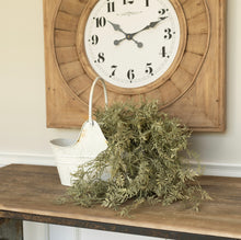 Load image into Gallery viewer, Hanging Ficus