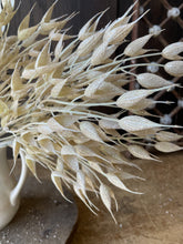 Load image into Gallery viewer, Pearl Wheat Stem