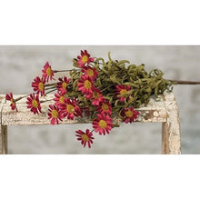 Load image into Gallery viewer, Mini Mountain Burgundy