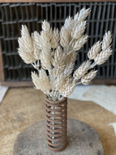 Load image into Gallery viewer, Pearl Hops Stem
