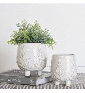 Fern Pattern Planters