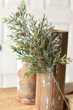 Load image into Gallery viewer, Wind Chill Juniper Stem