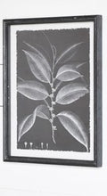 Load image into Gallery viewer, Black &amp; White Leaf Wall Decor