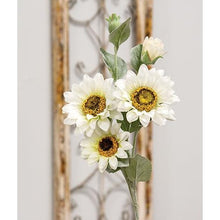 Load image into Gallery viewer, Sunflower Blooms