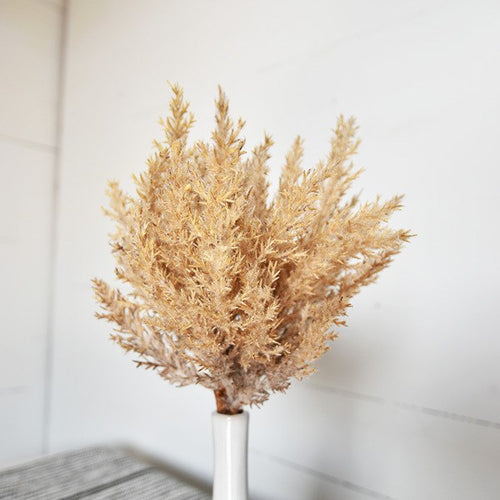 Fluffy Taupe Pampas Bunch