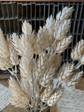 Load image into Gallery viewer, Pearl Hops Stem