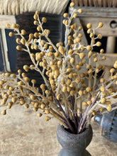Load image into Gallery viewer, Button Berry Bush