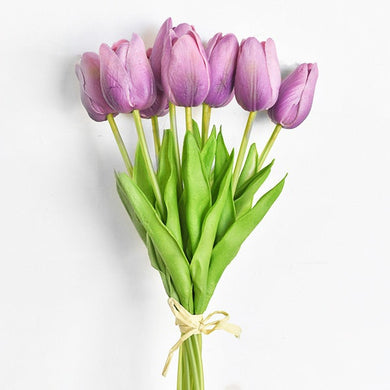 Purple Tulip Time