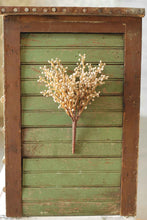 Load image into Gallery viewer, Button Berry Bush