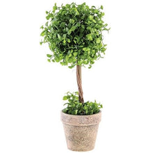 Load image into Gallery viewer, Green Ball Topiary