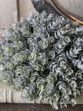 Load image into Gallery viewer, Frost Gleam Hops Half Sphere