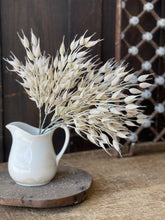 Load image into Gallery viewer, Pearl Wheat Stem