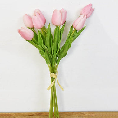 Ombre Pink Tulips