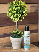 Load image into Gallery viewer, Green Ball Topiary