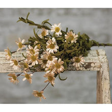 Load image into Gallery viewer, Tea Stained Mini Mountain Daisy Stem