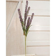 Load image into Gallery viewer, Purple Millet Spray