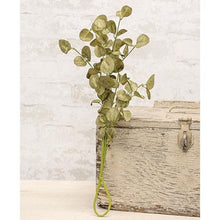 Load image into Gallery viewer, Sage Silver Dollar Stem