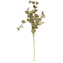 Load image into Gallery viewer, Sage Silver Dollar Stem