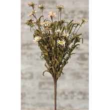 Load image into Gallery viewer, Tea Stained Mini Mountain Daisy Stem